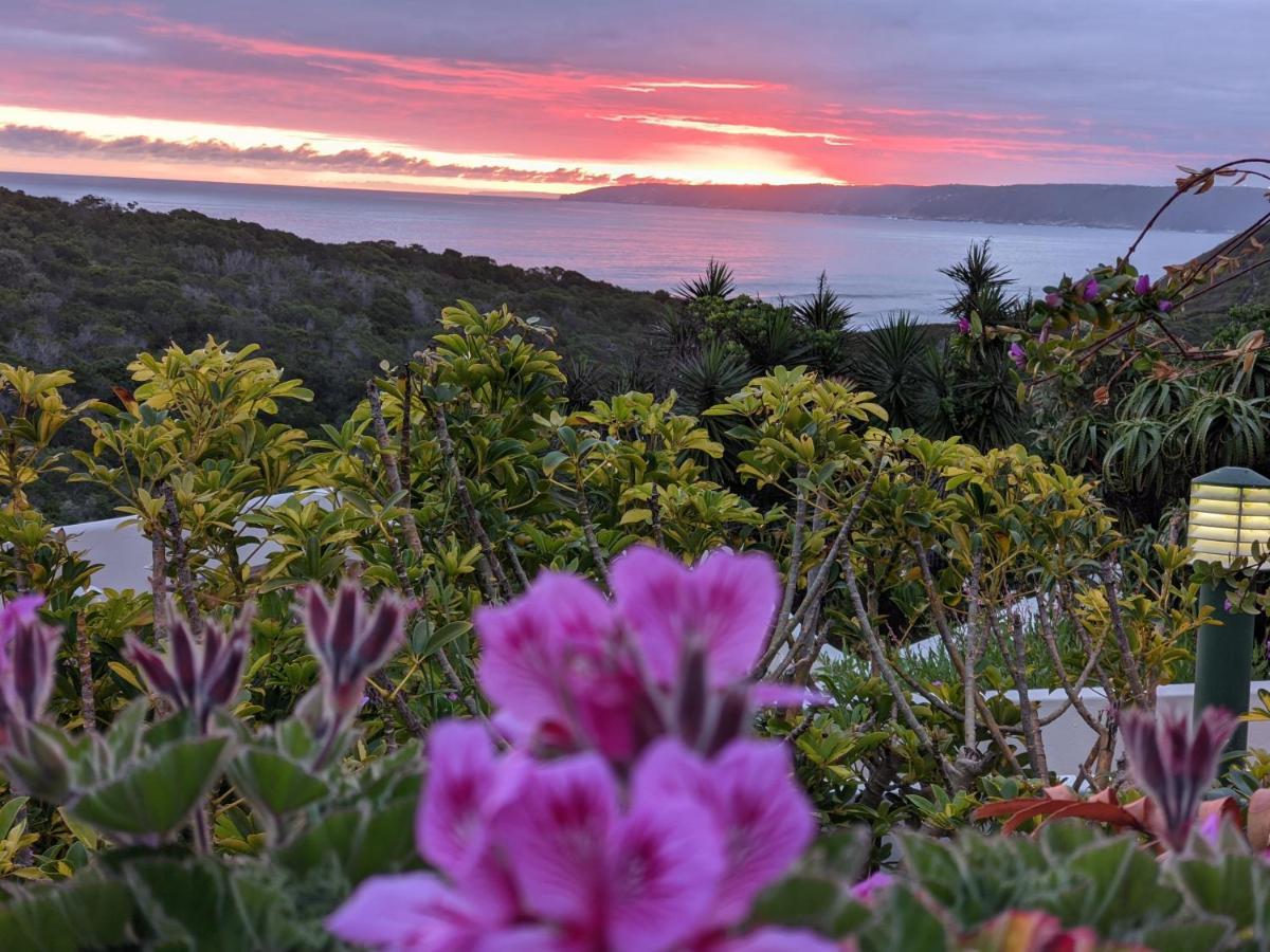 Villa Cape Garden Route วิลเดอร์เนส ภายนอก รูปภาพ