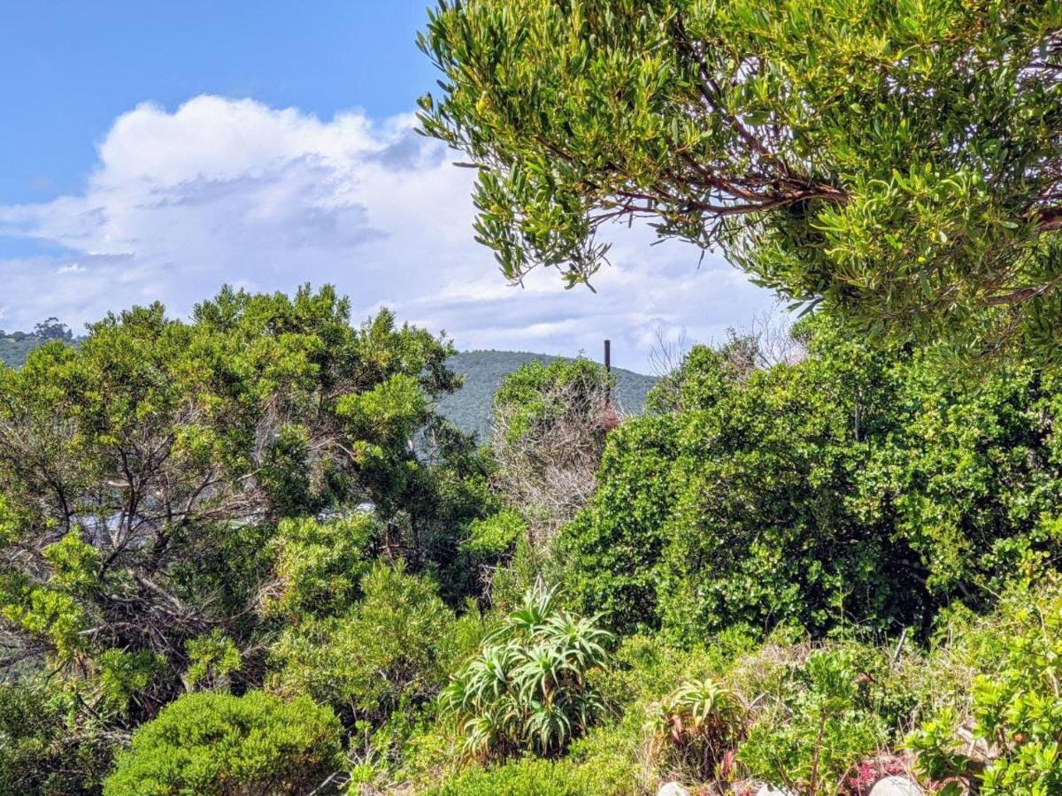 Villa Cape Garden Route วิลเดอร์เนส ภายนอก รูปภาพ